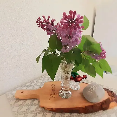 Vignole 포르토로즈